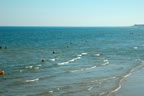 phot1 balisage rivage